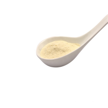 Wholesale Salable Health Supplement Lactobacillus Fermentum Probiotics Powder